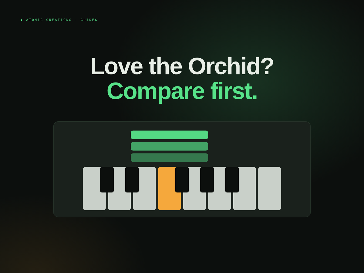 Headline Love the Orchid? Compare first. above a one-octave keyboard with one key lit and a glowing three-note chord stacked above it.